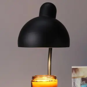 Decorative Simple Swan Electric Candle Warmer Lamp